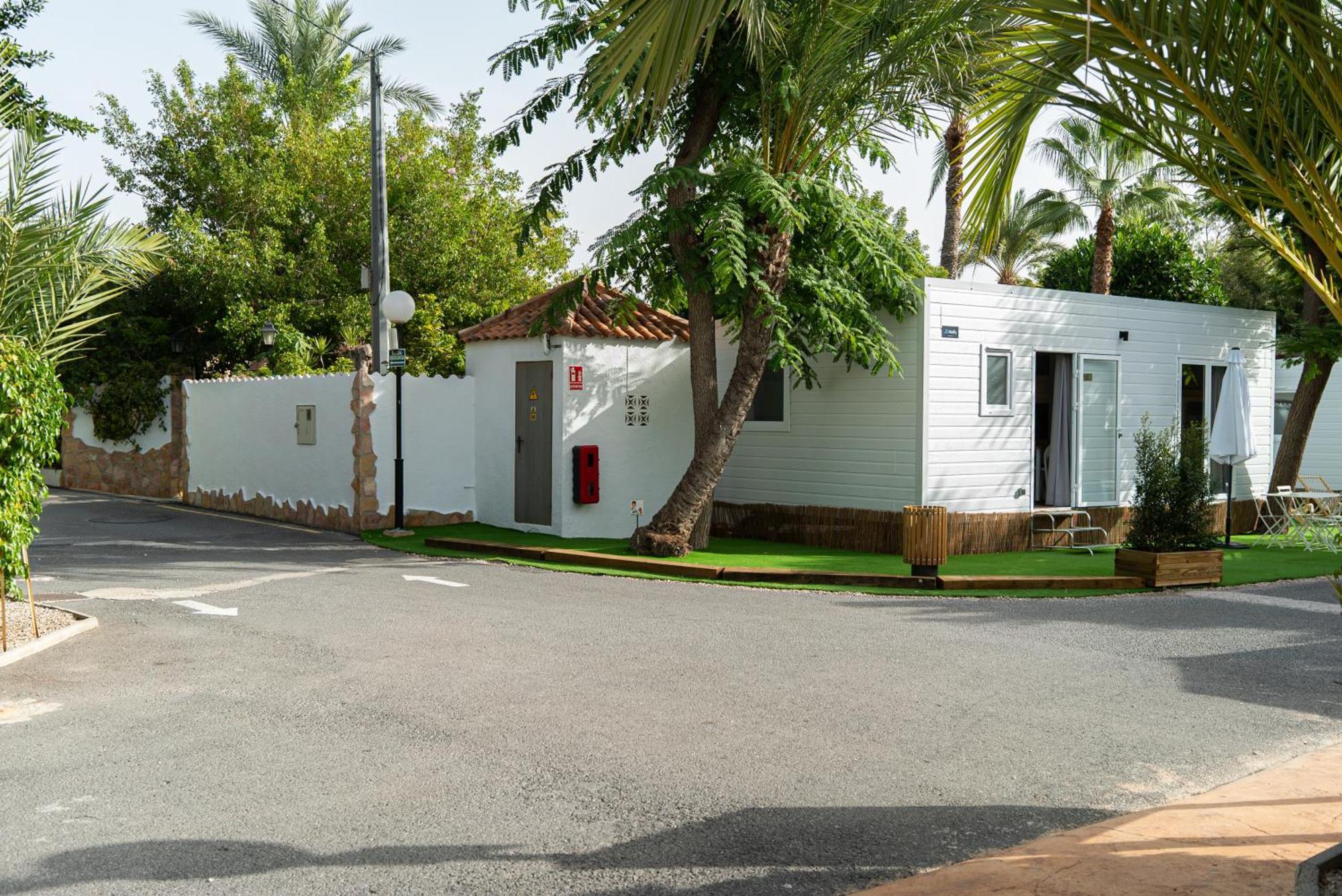 Palmeras 2*