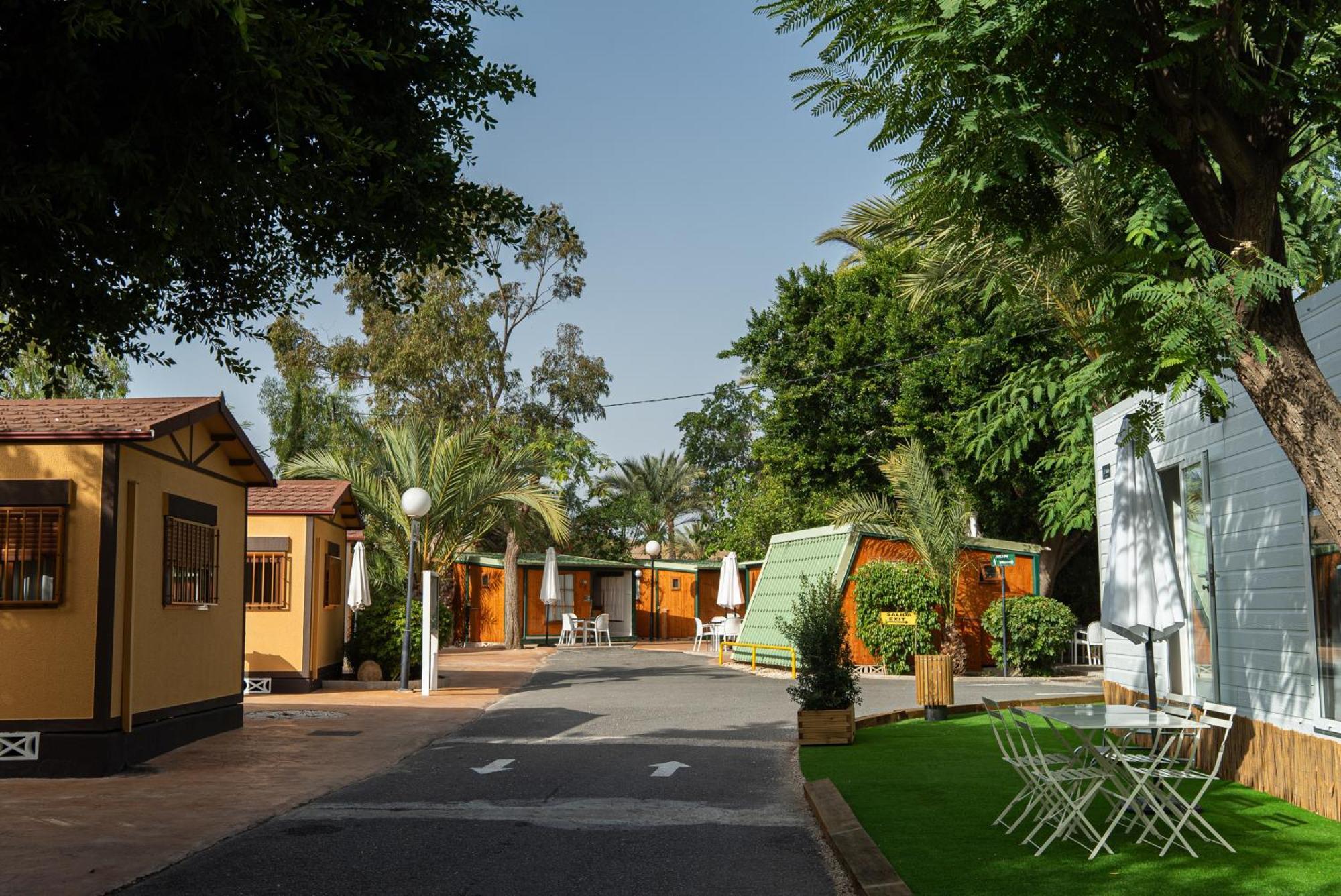 Palmeras 2* Crevillente
