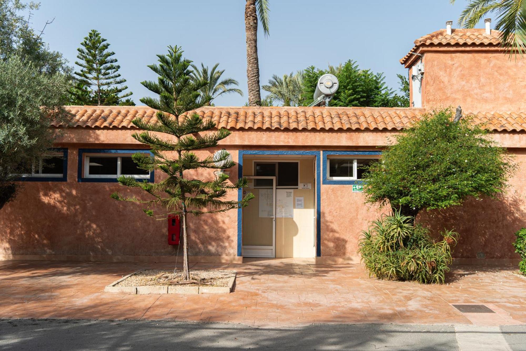 Palmeras Camping Crevillente
