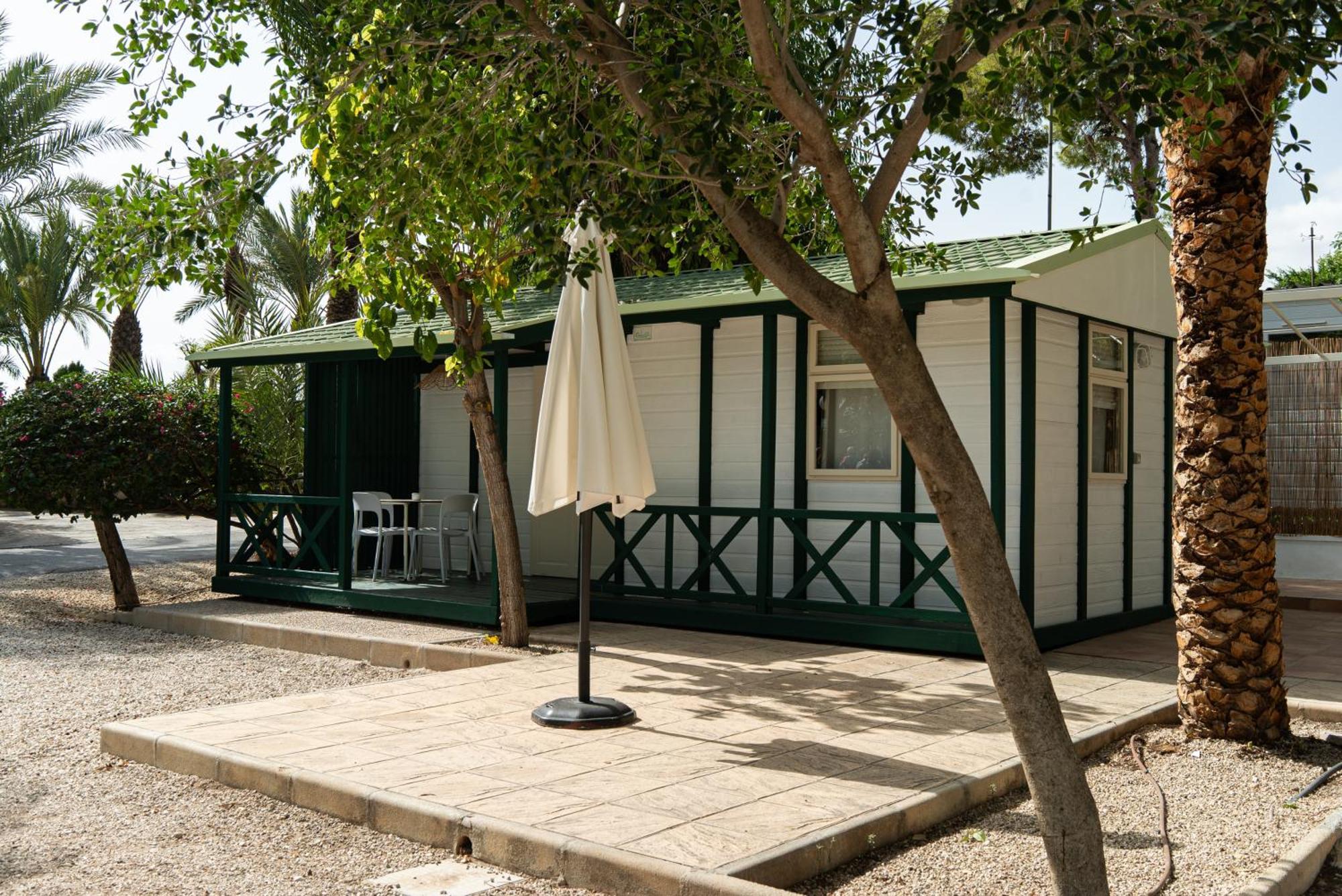 Camping Palmeras Crevillente