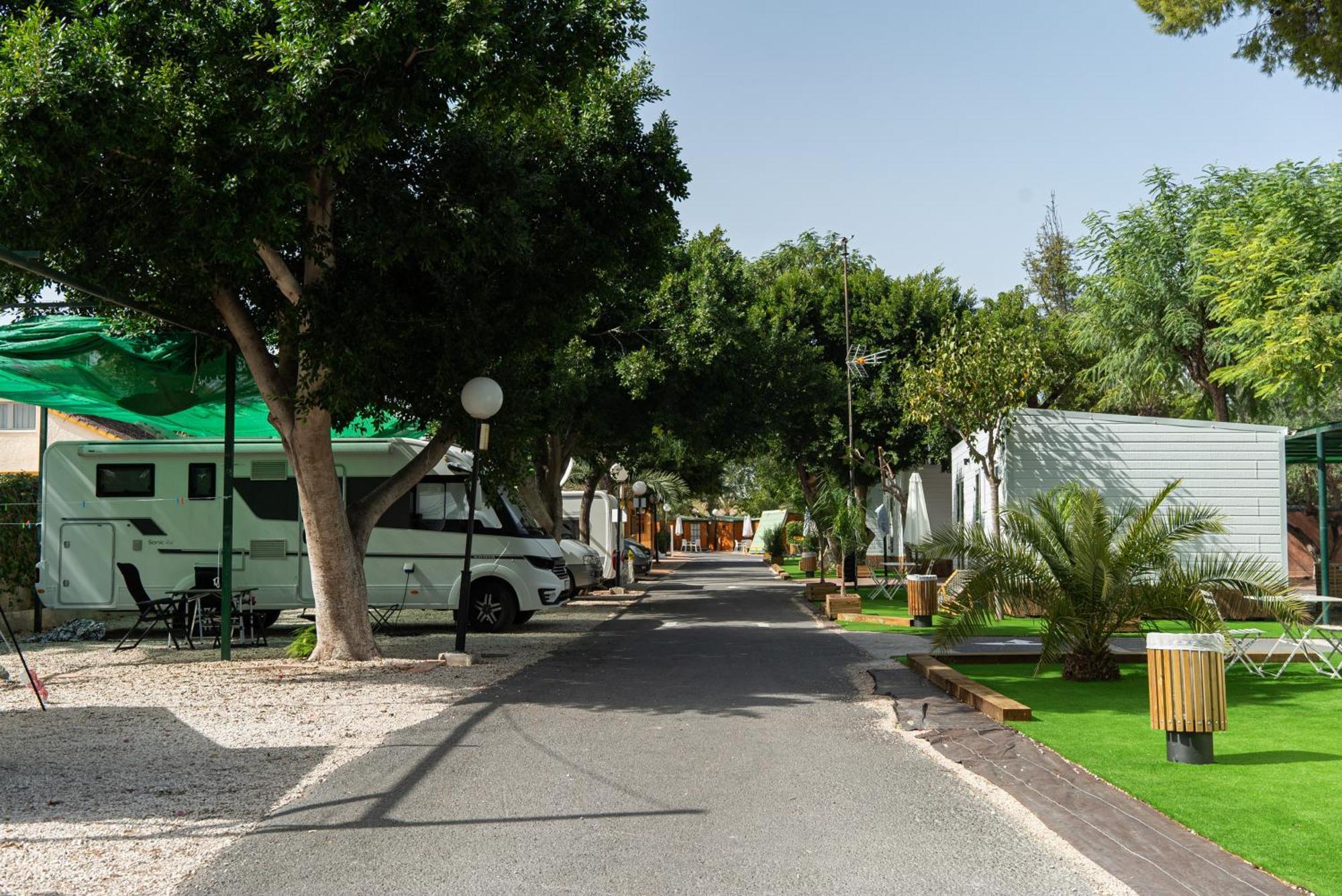 Palmeras Camping