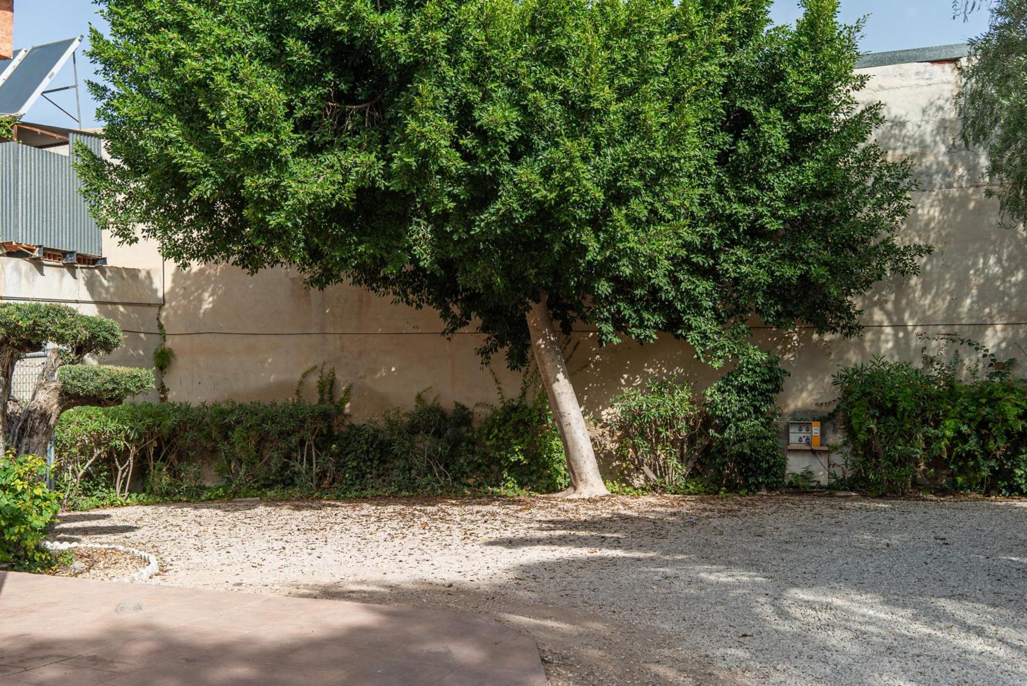 Campingplatz Camping Las Palmeras 2*