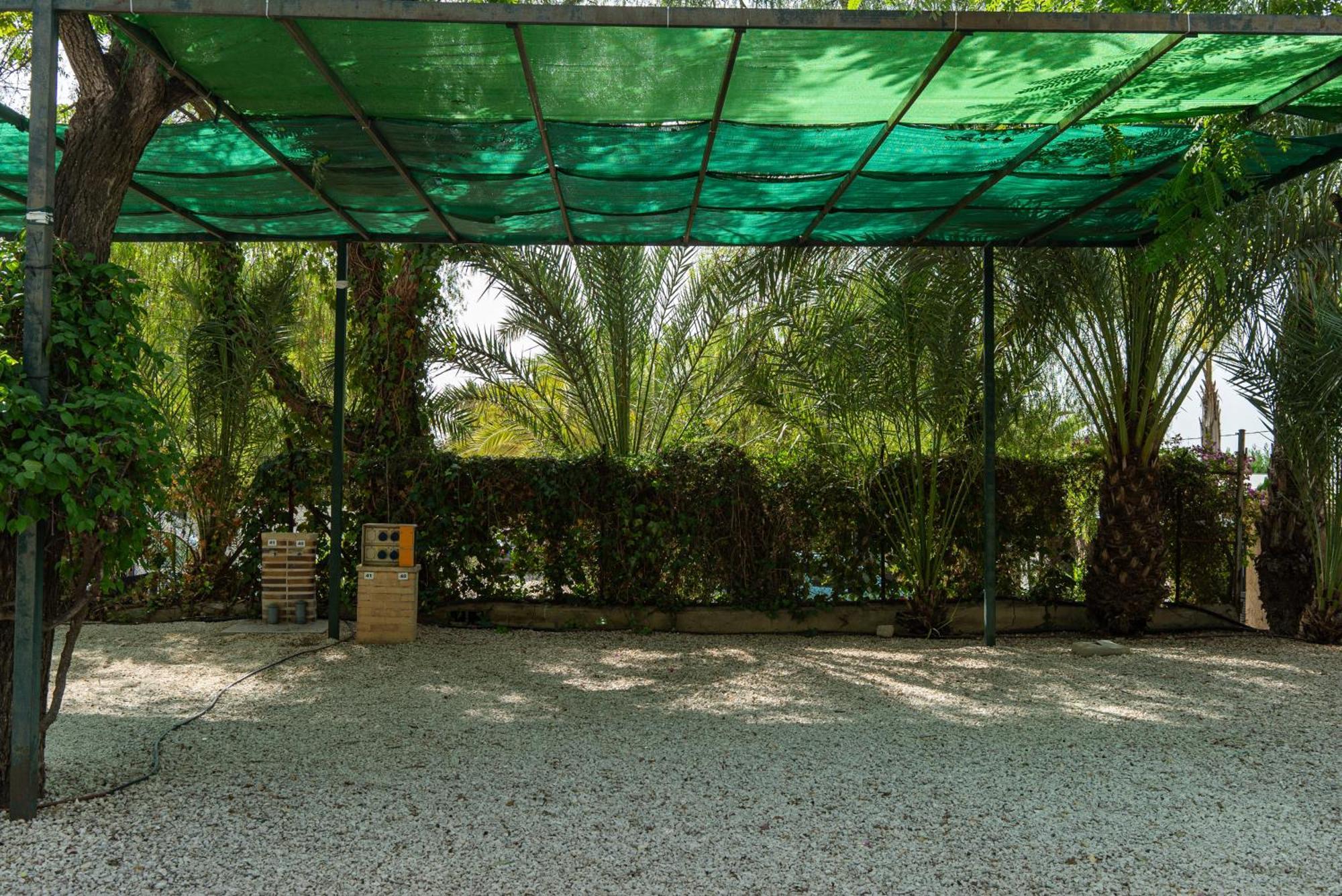 Palmeras 2* Crevillente