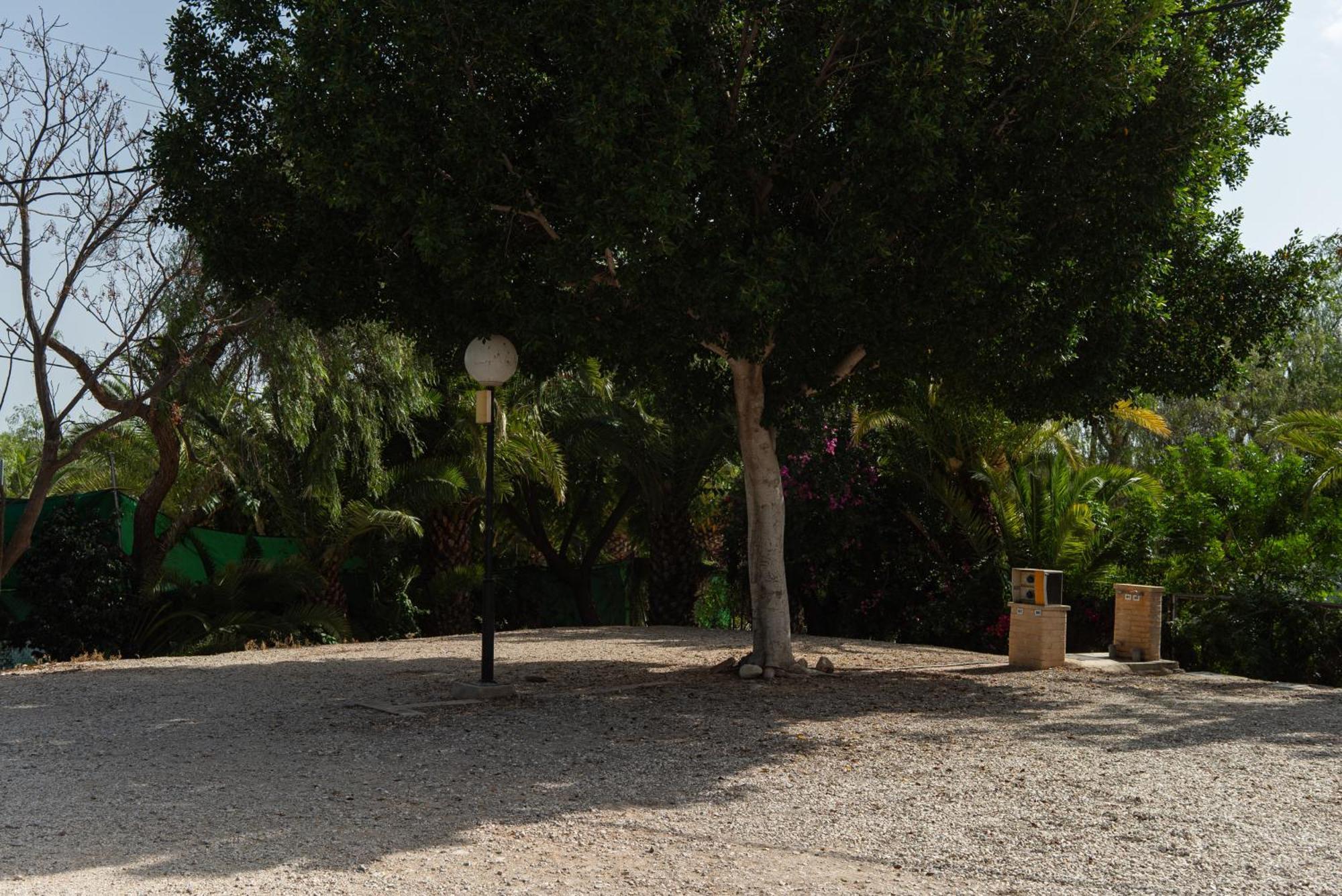Camping Palmeras