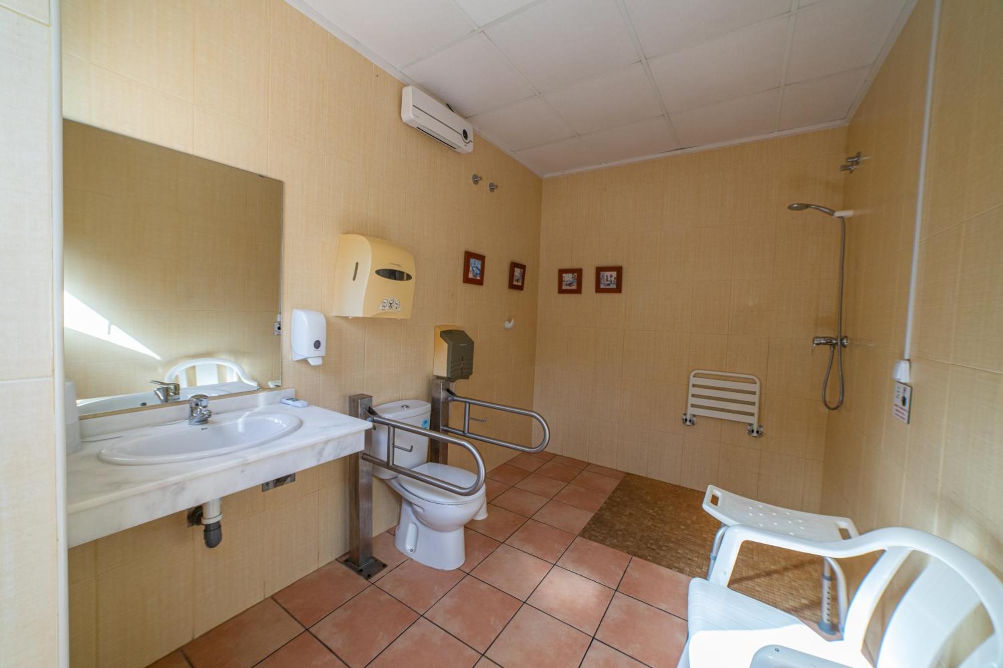 Palmeras Crevillente