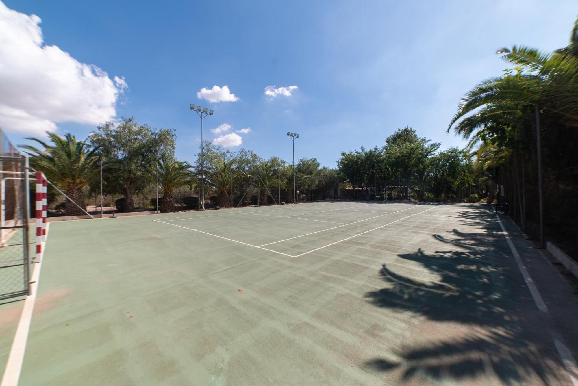 Palmeras Camping Crevillente